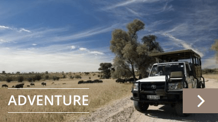 Adventure